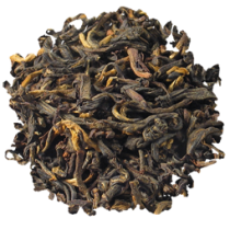 Золотой Илам (Дарджилинг), непальский чай