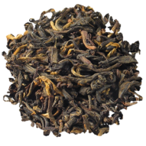 Золотой Илам (Дарджилинг), непальский чай